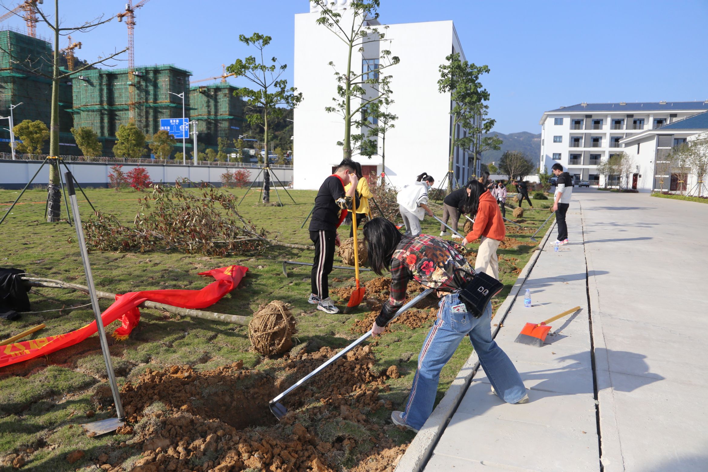 1617271223159802.jpg 1617271223159802.jpg