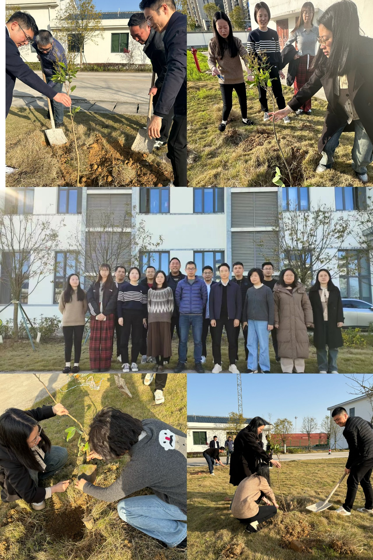2024-3-12綠色陸港，美麗寧德，阮克妙拍攝.jpg